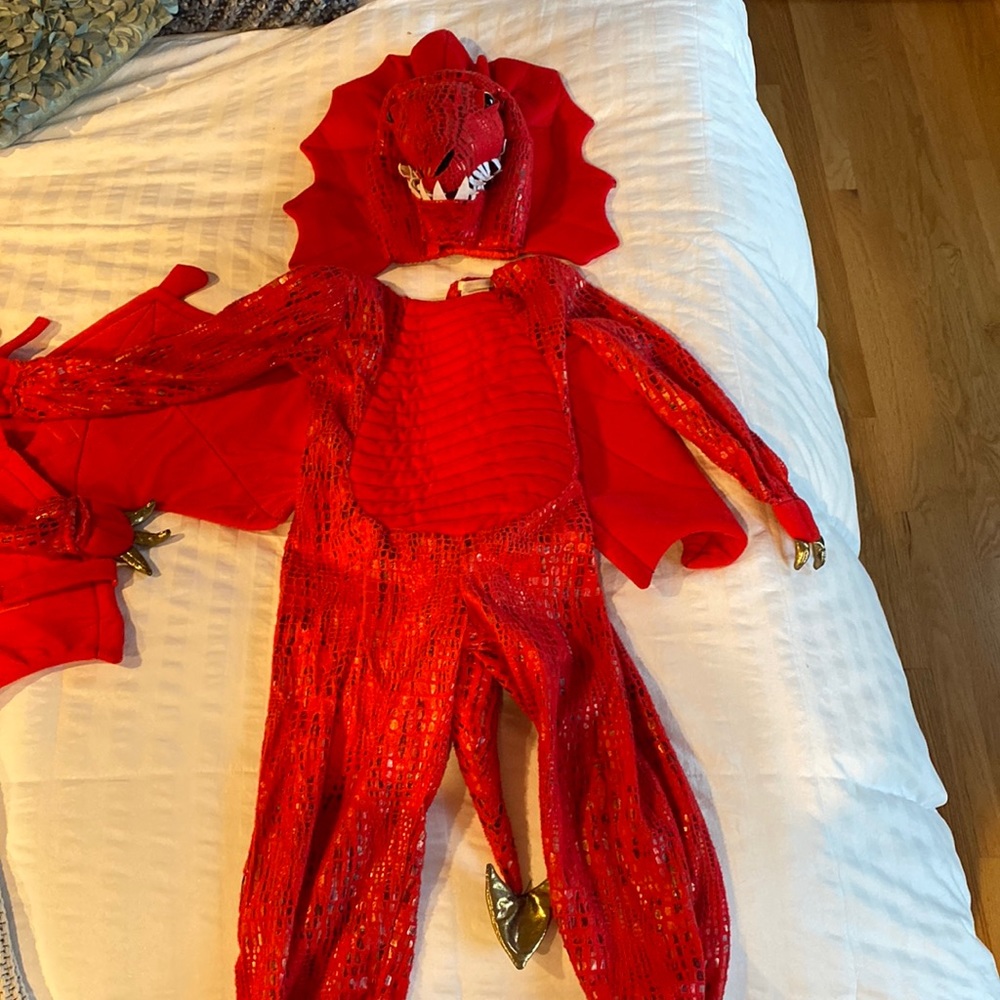 Pottery Barn Kids Dragon Costume - size 3T